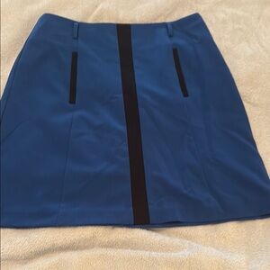 Worthington Blue Mini Skirt with Black Stripe